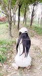 小韵仙子会员作品