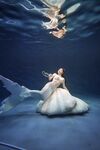 Bella_0406 合集