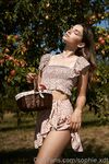 sophie_xdt 作品图