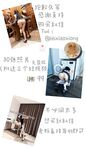露臉才是王道！推特高顏極品身材治癒系女神【小熊駕駛員】電報群內福利~能肏能調教能露出很好玩很反差