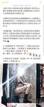 露臉才是王道！推特高顏極品身材治癒系女神【小熊駕駛員】電報群內福利~能肏能調教能露出很好玩很反差