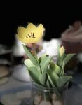 最新7月無水首發福利！推特極品OL風氣質御姐【Jeff_Jarvis】紫薇露出啪啪記錄，浴室貼門後入奶子都壓變形了