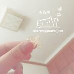白くて優しくて純粋なロリっ子「九尾猫」