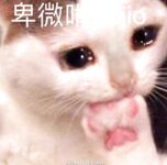 推特福利姬【渝渝酱】私拍，紫薇啪啪，这大奶大屁股玩到虚脱