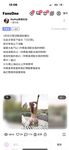 2024 년 대만 교정기 미인 [RayRay Rui Rui]는 슈퍼마켓에서 큰 가슴을 노출하고 양면 3P 섹스를하며 거의 얼굴을 보이지 않는 혜택을 트윗했습니다.