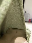 马来西亚超人气网红电竞女神「mspuiyi」OF大尺度露脸私拍身材爆炸模特淫乱百合趴