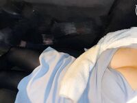 Koleksi rekod sumbang mahram antara Cape God dan [Big Breasted Cousin]