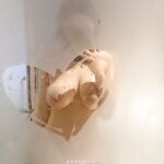 2024年，【重磅】極品清純大奶學妹【小狗】未發第二彈全套付費，發育得真好，私處粉嫩尺度大