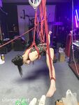 超强视觉盛宴！推特顶级大佬【小黑屋】订阅最全完整视图集，花式调教御姐萝莉女奴们，玩女神母狗的最高境界