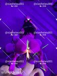 超强视觉盛宴！推特顶级大佬【小黑屋】订阅最全完整视图集，花式调教御姐萝莉女奴们，玩女神母狗的最高境界