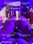 超强视觉盛宴！推特顶级大佬【小黑屋】订阅最全完整视图集，花式调教御姐萝莉女奴们，玩女神母狗的最高境界