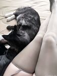 The heavy-hitting micro-circle celebrity with big breasts and fat ass [Innocent Xiaochu] VIP threshold view worth 10,000 yuan, Ziwei has sex in the car and shakes, making men unable to stop