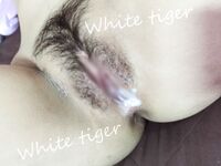 推特清纯极品露脸小母狗【whitetiger_YL】订阅，露出道具调教啪啪3P内射喝圣水花样繁多