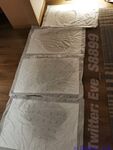推特網紅九頭身極品女神【Eve_S8899】超強精液收集器，多男多女群P聖水調教玩出高端