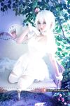 OF Vietnam Coser【Potato Godzilla Cute Monster】รูปภาพ(16)