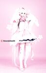 OF Vietnam Coser【감자 고질라 귀여운 몬스터】사진(26)