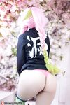 OF Vietnam Coser【Potato Godzilla Cute Monster】รูปภาพ(49)