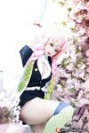 OF Vietnam Coser【Potato Godzilla Cute Monster】รูปภาพ(49)