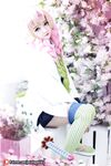 OF Vietnam Coser【Potato Godzilla Cute Monster】รูปภาพ(49)