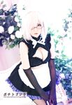 OF Vietnam Coser【ポテトゴジラ キュートモンスター】写真(83)