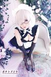 OF Vietnam Coser【ポテトゴジラ キュートモンスター】写真(83)