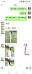 海角《兄妹乱伦》【爱上自己的亲妹妹】趁爸妈不在家偷偷溜进妹妹的房间强插妹妹的小嫩B