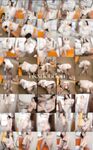 30萬粉絲著名美團外賣媛網紅秀人網模特「小逗逗」全量推特資源 極品露臉大長腿頂級露出專家