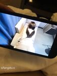 8月超級重磅推薦！【小條@91A_sce】大神約啪的大長腿漂亮少婦完整版合集P4！每部都被操近1小時！絲襪美腿，小騷貨站著被操 站不穩