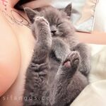 High-end super goddess Twitter [Tita] 520VIP benefits