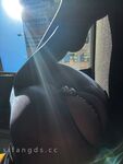 High-end super goddess Twitter [Tita] 520VIP benefits