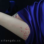 High-end super goddess Twitter [Tita] 520VIP benefits