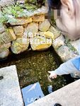 ในปี 2024 Haijiao Master [Isted My Sister] โพสต์ร่วมประเวณีระหว่างพี่น้อง 54 โพสต์, เล่นในสระว่ายน้ำ, ท่าในทางที่ผิดต่างๆ, เล่นกับน้องสาวของฉันและอุทานมาก