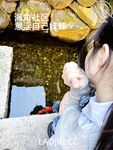 ในปี 2024 Haijiao Master [Isted My Sister] โพสต์ร่วมประเวณีระหว่างพี่น้อง 54 โพสต์, เล่นในสระว่ายน้ำ, ท่าในทางที่ผิดต่างๆ, เล่นกับน้องสาวของฉันและอุทานมาก