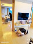 顶级调教大神『帝都金领S』最新调教视频，双飞姐妹花商场露出人前调教，别人眼里的女神在金主面前就是条小母狗