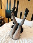 최고의 훅업 마스터 '서울 빅 웨폰'은 당당한 유부녀, 우아한 아가씨, 순수한 여고생, 섹시한 젊은 모델, 대조적인 색녀들, 그녀를 감당할 수 없는 여신이 남들 앞에서 완성된다.