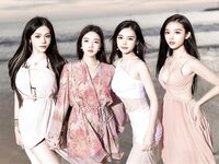 외모가 최고인 TS [당신의 빈바오] 최신 SVIP 복지 방송