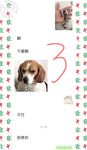 In 2024, Haijiao Master collected [half-sister] shy past, dad fucked mom next door, I fucked sister here, there is some excitement and stimulation
