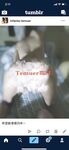 最新9月無水核彈！高顏極品露臉女神【Temuer郡主】推特福利，好身材美鮑，金主的小母狗，各種露出啪啪內射