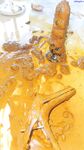 最新9月獵奇！蘿莉風天花板級別，走重口味路線網紅【點點】推特福利③，道具紫薇，玩屎虐菊虐肛，不忍直視