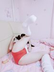 청순한 꼬리가 달린 인간형 암캐 "에로틱 꼬마 요정"복지 개인 사진 - 로리 체육복 zip