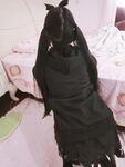ผู้หญิงเลวหางแฝดผู้ไร้เดียงสา "Eroge Fairy" สวัสดิการการถ่ายภาพส่วนตัว - Dark Lolita