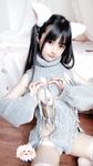 사쿠라이 네네 NO.015 흰 고양이
