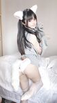 사쿠라이 네네 NO.015 흰 고양이