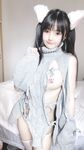 사쿠라이 네네 NO.015 흰 고양이