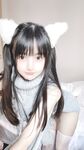 사쿠라이 네네 NO.015 흰 고양이