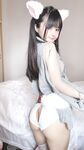 사쿠라이 네네 NO.015 흰 고양이