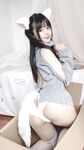 사쿠라이 네네 NO.015 흰 고양이