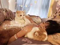 워터마크 없이 최신 10월 구독을 공유하세요! 트위터에서 얼굴을 보여주는 가장 강력한 포르노 소녀, 한 소녀가 많은 남자들에게 도전하는 최고의 암캐 [Jan Little Rabbit] 개인 사진보기