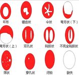 最新10月無水印訂閱！推特清純甜美巨乳女神【宮本山酒】最新福利，揉捏波霸，道具紫薇花心粉嫩，母狗屬性拉滿