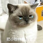 最新10月無水印訂閱！推特清純甜美巨乳女神【宮本山酒】最新福利，揉捏波霸，道具紫薇花心粉嫩，母狗屬性拉滿